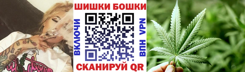 Купить закладки  Электросталь  Шишки марихуана SATIVA & INDICA 